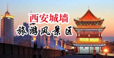 黄色视频射入流水中国陕西-西安城墙旅游风景区